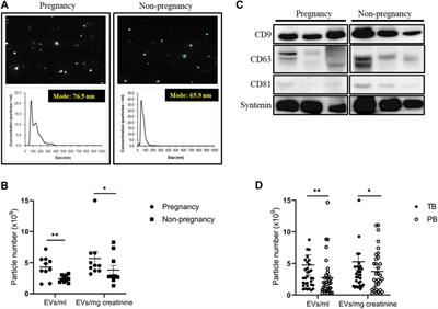 First-trimester urinary extracellular vesicles as predictors of preterm birth: an insight into immune programming